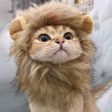 CAT LION MANE COSTUME