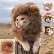 CAT LION MANE COSTUME