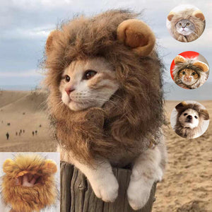 CAT LION MANE COSTUME