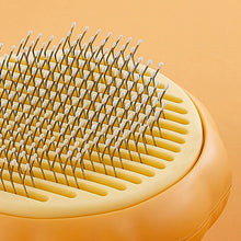 CAT PUMPKIN GROOMING BRUSH