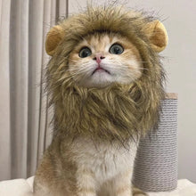 CAT LION MANE COSTUME