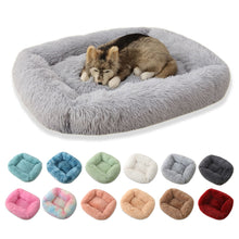 DOG BED